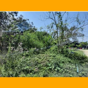 ที่ดิน 1 ไร่ 41 ตรว ต.ท่ารวก จ.เพชรบุรี
