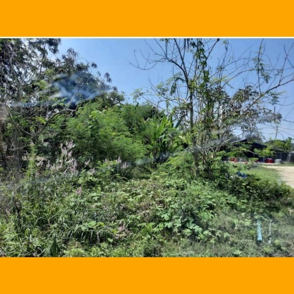 timeline_20241120_213902 ที่ดิน 1 ไร่ 41 ตรว ต.ท่ารวก จ.เพชรบุรี