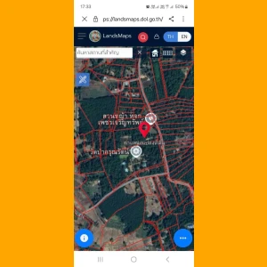 ที่ดิน 11 ไร่ 40 ตรว จ.นครพนม