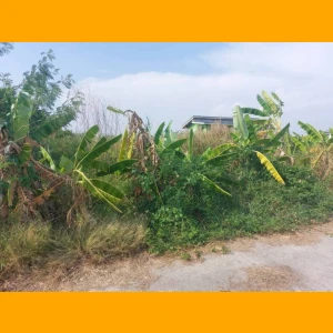ที่ดิน 1 ไร่ 58 ตรว.อ.บางเสาธง จ.สมุทรปราการ