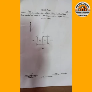 timeline_20241209_210149