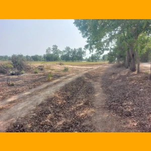 ที่ดิน 273 ตรว ต.สนามคลี จ.สุพรรณบุรี