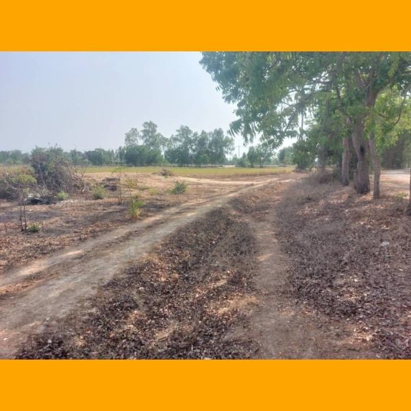 timeline_20241120_211734 ที่ดิน 273 ตรว ต.สนามคลี จ.สุพรรณบุรี