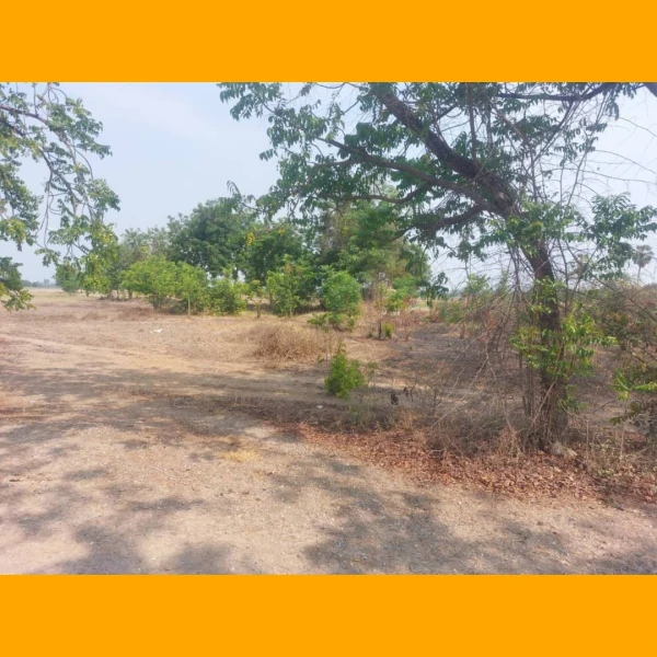 timeline_20241120_211738 ที่ดิน 368 ตรว. ต.หน้าเมือง จ.ปราจีนบุรี