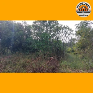 ที่ดิน 2 ไร่ 2 ตรว. อ.ธัญบุรี จ.ปทุมธานี